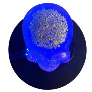 1 Oz Shot For Brains silver in resin skull 